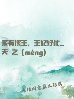 家有傻王，王妃好忙
