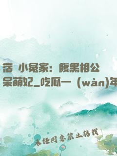 宿敵小冤家：腹黑相公呆萌妃