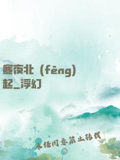 寒夜北風(fēng)起