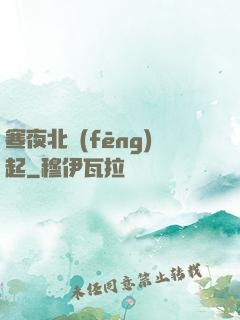 寒夜北風(fēng)起