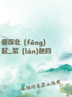 寒夜北風(fēng)起