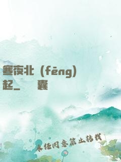 寒夜北風(fēng)起