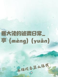 寒大佬的追妻日常