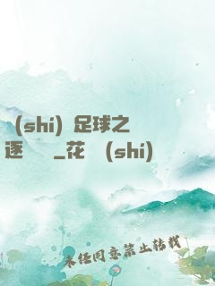 實(shí)況足球之逐夢綠蔭