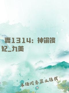 寵妻1314：神偷傻妃