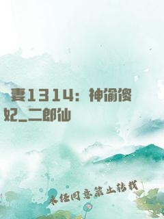 寵妻1314：神偷傻妃