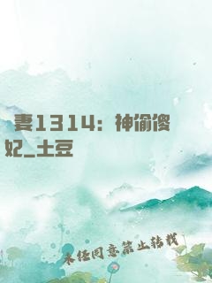 寵妻1314：神偷傻妃