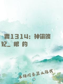 寵妻1314：神偷傻妃