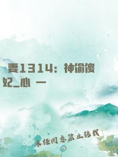 寵妻1314：神偷傻妃