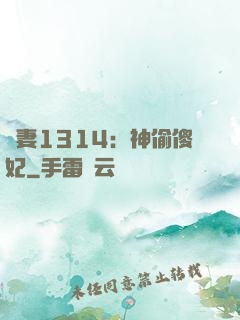 寵妻1314：神偷傻妃
