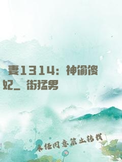 寵妻1314：神偷傻妃