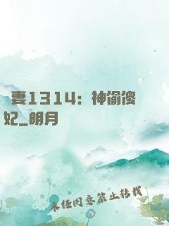 寵妻1314：神偷傻妃