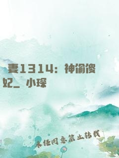 寵妻1314：神偷傻妃