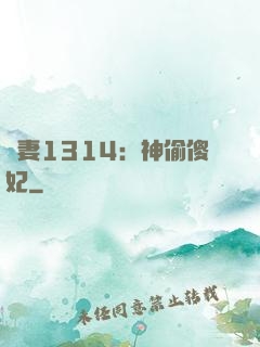 寵妻1314：神偷傻妃
