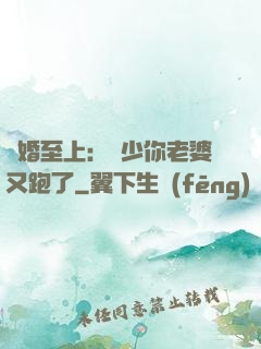 寵婚至上：厲少你老婆又跑了