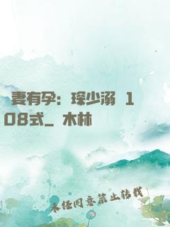 寶妻有孕：琛少溺寵108式
