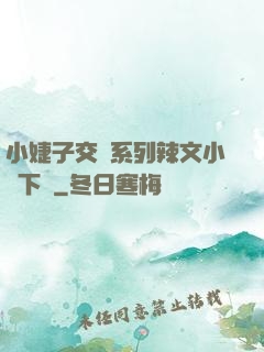 小婕子交換系列辣文小說下載