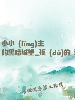 小小領(lǐng)主的黑暗城堡