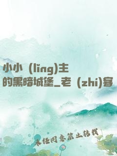 小小領(lǐng)主的黑暗城堡