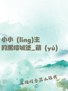 小小領(lǐng)主的黑暗城堡