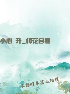 小心飛升