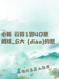 小新與云芬1到40章概括