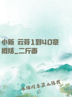 小新與云芬1到40章概括
