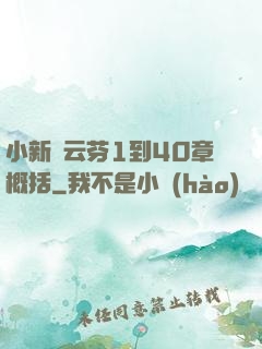 小新與云芬1到40章概括
