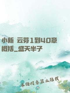 小新與云芬1到40章概括
