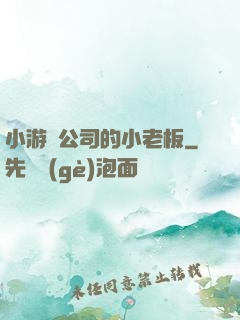 小游戲公司的小老板