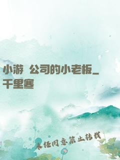 小游戲公司的小老板