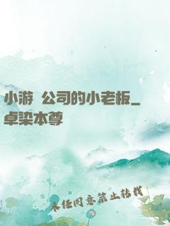小游戲公司的小老板