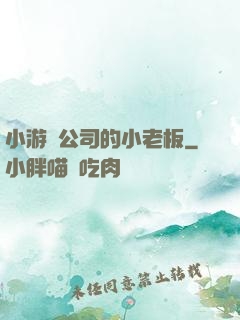 小游戲公司的小老板