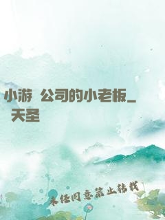 小游戲公司的小老板