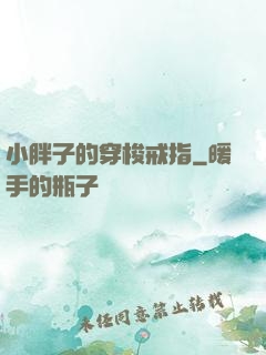 小胖子的穿梭戒指