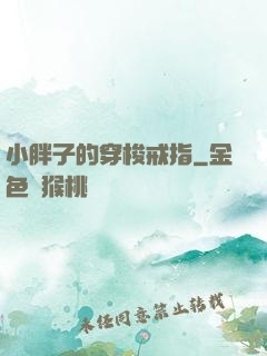 小胖子的穿梭戒指