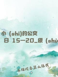 小詩(shī)的公交車日記15一20