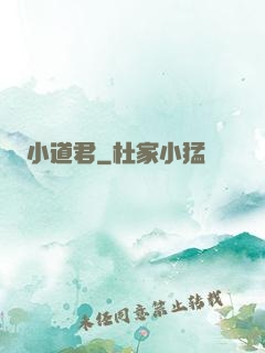小道君