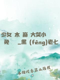 少女騎木驢崩潰大哭小說免費閱讀