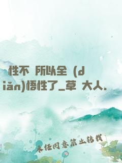 屬性不夠所以全點(diǎn)悟性了
