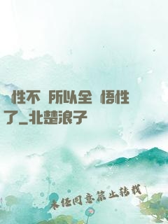 屬性不夠所以全點悟性了