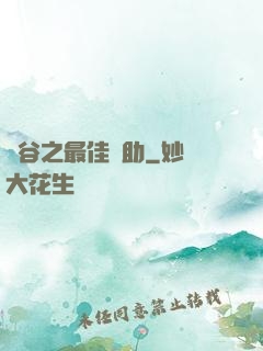 峽谷之最佳輔助
