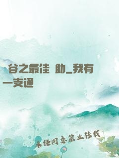 峽谷之最佳輔助