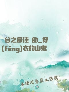 峽谷之最佳輔助
