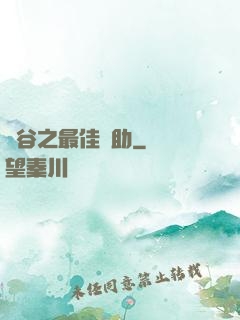 峽谷之最佳輔助