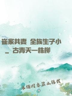 崔家共妻給全族生子小說