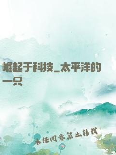 崛起于科技