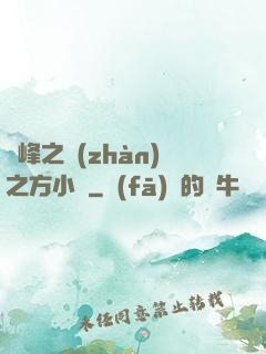 巔峰之戰(zhàn)之方小曉