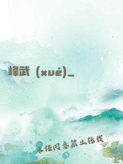 巔峰武學(xué)