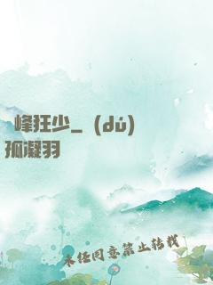 巔峰狂少